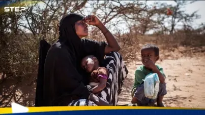 الصومال.. هكذا يساوم الرئيس على السيادة مقابل البقاء: آخر الأخبار