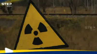 مدير الطاقة الذرية يطلق تحذيراً للعالم