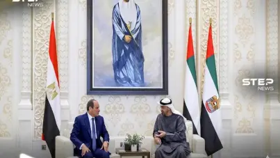 صورة تجمع الرئيس المصري عبد الفتاح السيسي والشيخ محمد بن زايد ، خلال لقاء ثنائي