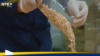 السعودية.. إحباط تهريب نحو 48 ألف حبة كبتاغون واعتقال 4 متورطين - آخر الأخبار - وكالة ستيب نيوز