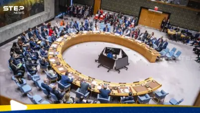 مجلس الأمن الدولي