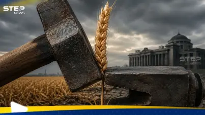 القمح السوري بين مطرقة التكاليف وسندان الحكومة