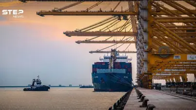 من موانئ دبي إلى بربرة: كيف ترسم الإمارات ملامح الغد في الصومال: آخر الأخبار