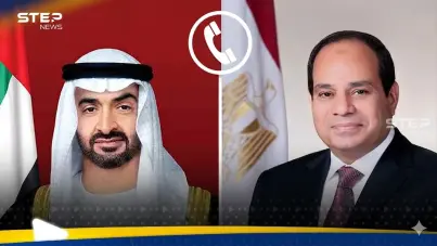 صورة تجمع بين الرئيس السيسي والشيخ محمد بن زايد