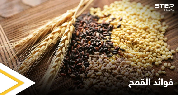 القمح النبات الأكثر شهرة في العالم.. تعرف على فوائده التي لا تتوقعها