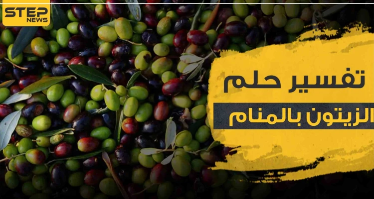 تفسير رؤية الزيتون في المنام بأنواعه وألوانه وبجميع الوضعيات