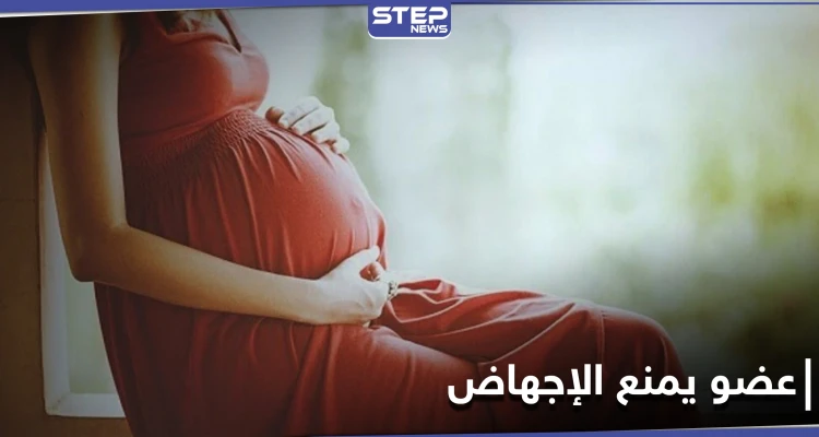 دراسة: عضو "منسي'' في الصدر قد يكون مفتاحاً لمنع الإجهاض لدى النساء الحوامل