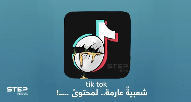 ما رأيك بالمحتوى الذي يقدمه مستخدمي تطبيق تيك توك؟