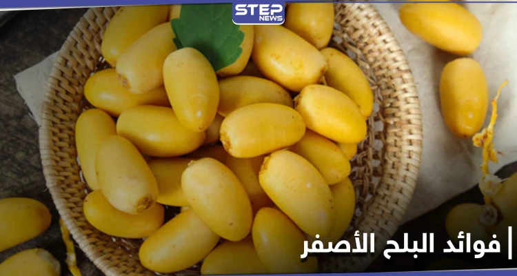 منها تسهيل الولادة الطبيعية.. إليك 10 فوائد لــ البلح الأصفر