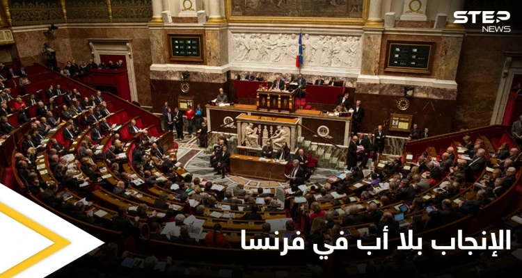 الإنجاب من دون أب.. فرنسا تقر قانوناً يسمح باستخدام المساعدة الطبية للنساء العازبات والمثليات