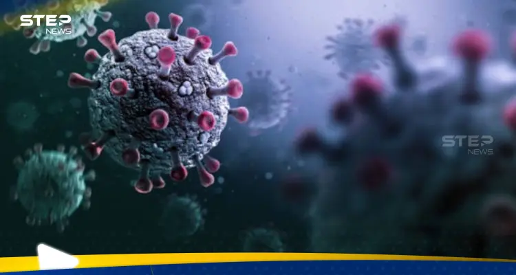 فيروس جديد في المأكولات البحرية