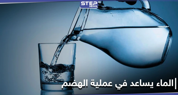 لماذا تخالف الدراسات ما يشاع عن الماء وهل يساعد في سرعة الهضم والتمثيل الغذائي العلماء يجيبون