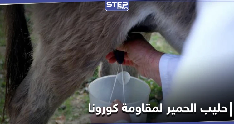طريقة جديدة لمقاومة كورونا في ألبانيا .. باستخدام حليب الحمير