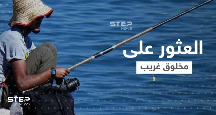 شاهد|| "تنين صغير".. صياد يعثر على مخلوق غريب يثير حيرة كل من يشاهده
