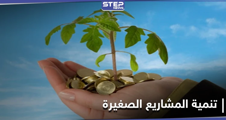 دولة عربية مرشحة للتقدم عالمياً في توطين شركات التكنولوجيا الناشئة