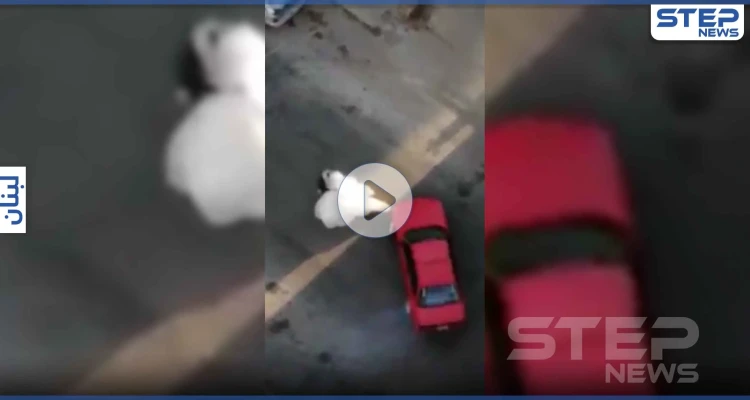 بالفيديو || عروسان في لبنان يحتفلان بزواجهما بطريقة فريدة من نوعها