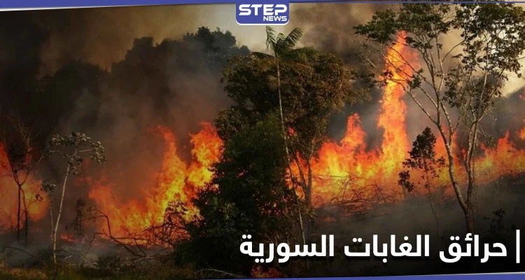 روسيا ترفض مساعدة النظام السوري لإخماد حرائق الغابات السورية والنيران تطال مواقع عسكرية