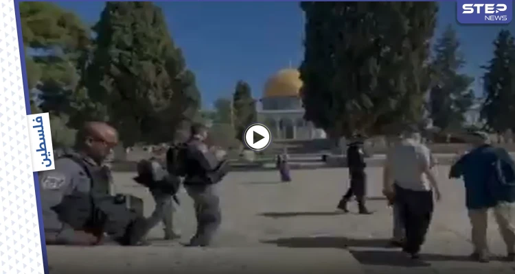 بعد دعوات لجمعة غضب.. جولات استفزازية ينفذها مستوطنون في باحات المسجد الأقصى (فيديو)