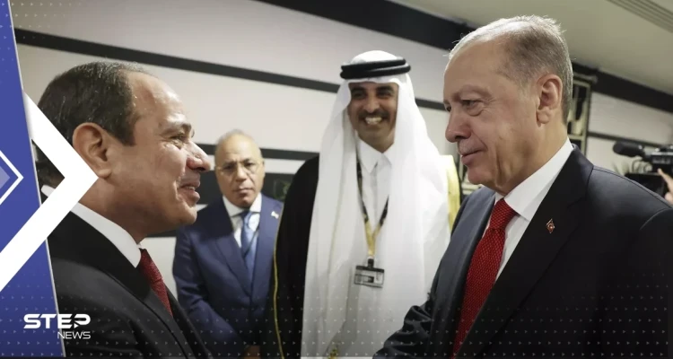 وزير الخارجية التركي يتحدث عن لقاء مرتقب بين أردوغان والسيسي