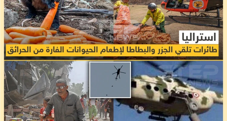 الفرق في استخدام الطيران بين سوريا و استراليا