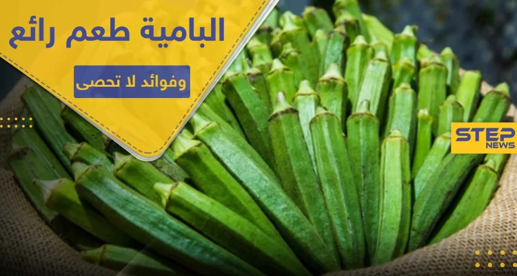 غير مذاقها الرائع.. هناك 10 فوائد للبامية أهمها تنظيف الرئتين وضبط السكر..