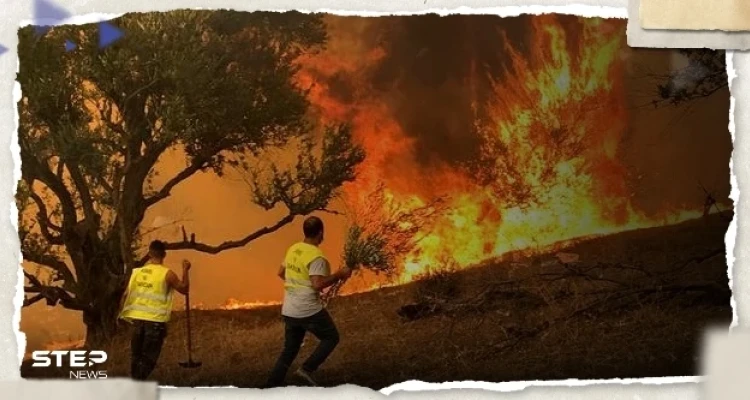 الدرك الوطني الجزائري يعتقل المتسبب في حرائق عش الباز بولاية بجاية