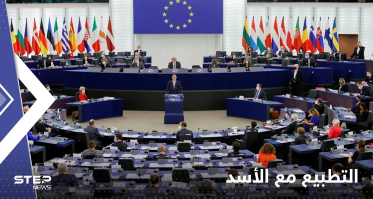 مندوبة بالبرلمان الأوروبي تعلق على تطبيع العلاقات مع الأسد وعودة اللاجئين السوريين إلى بلادهم
