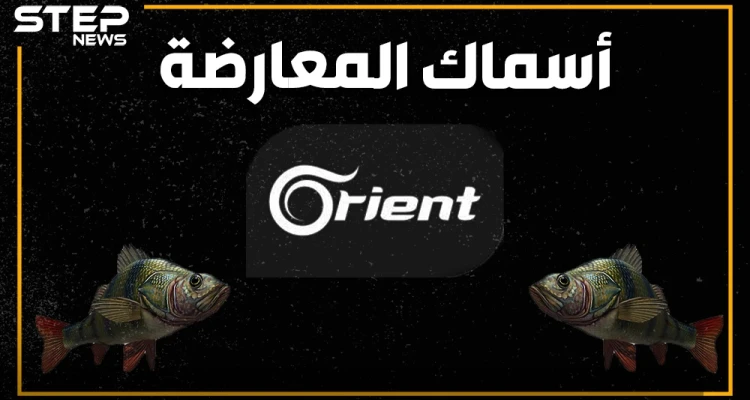 قناة أورينت تحرز ذهبية تبديل المواقف.. و"الجيش الوطني" يتبرأ من نفسه