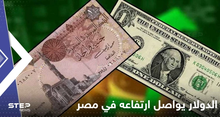 مصر.. الدولار يواصل ارتفاعه وأنباء عن شلل في السوق السوداء