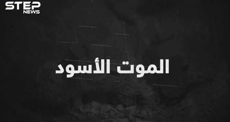 الموت الأسود ..عندما اجتاح الموت العالم وقتل أوروبا!