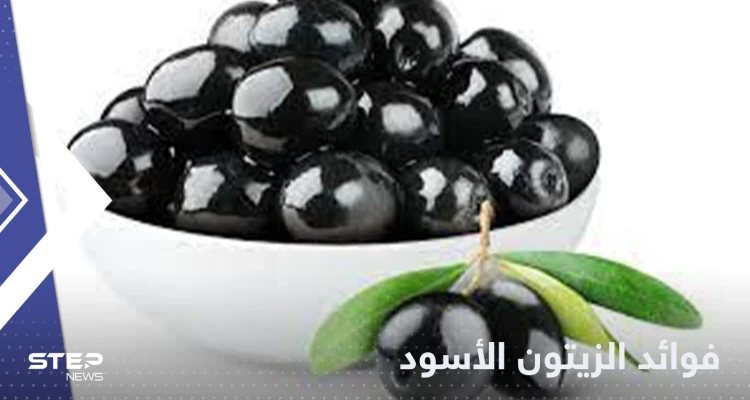 للوقاية من الزهايمر وأمراض القلب.. تعرف على فوائد الزيتون الأسود