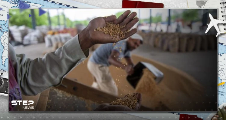 منها البطاطا.. المناخ يهدد غذاء العالم ويحكم على 5 أطعمة شائعة بالانقراض
