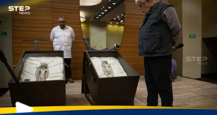 "لسنا وحدنا في هذا الكون".. عالم يرصد ما كشفه الحمض النووي لكائنات المكسيك الغريبة