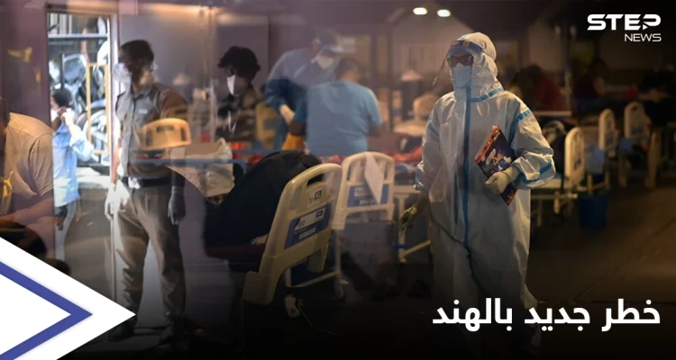 أشد فتكاً.. الفطر الأصفر يظهر حديثاً في الهند والصحة العالمية تحذر