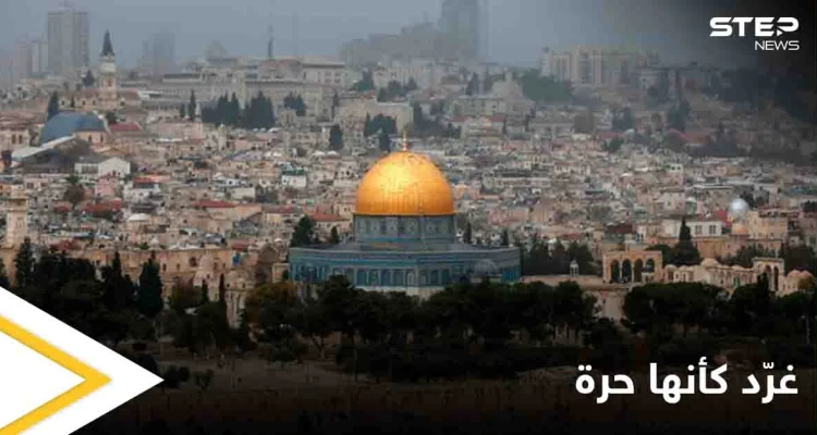 "غرد كأنها حرة" صورٌ من الحياة في فلسطين وأرجائها الحرة يطلقها رواد مواقع التواصل