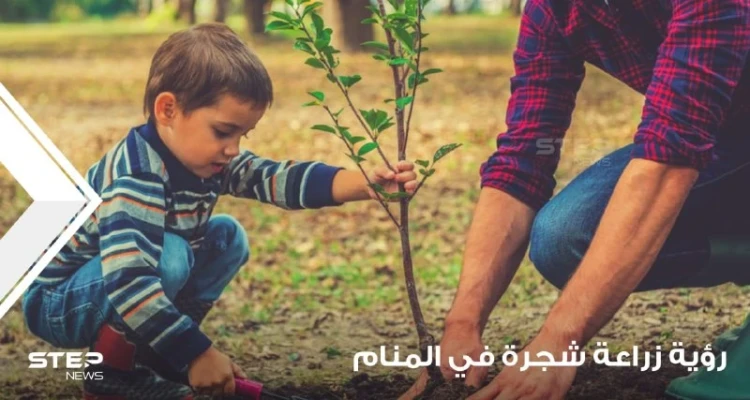 رؤية شجرة في المنام وزراعتها والاعتناء بها ودلالته على الواقع