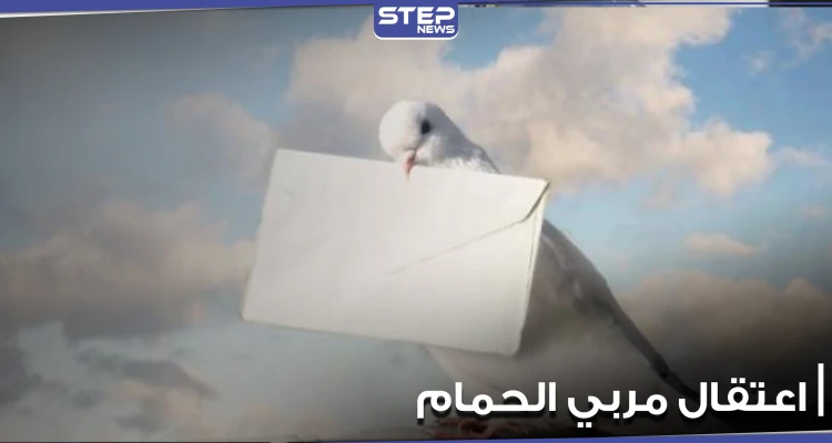 النظام السوري يعتقل عدداً من مربي الحمام بتدمر بتهمة خلق قنوات اتصال مع "داعش"