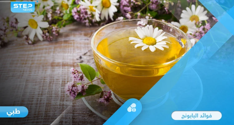 فوائد البابونج للقلب والأكزيما وأمراض أخرى.. وخطورته على فئة معينة تعرف عليها