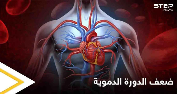 8 علامات وأعراض لضعف الدورة الدموية وأثرها على عمل الكلى وأعضاء أخرى