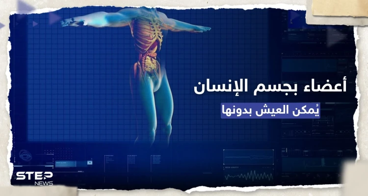 10 أعضاء يمكن للإنسان أن يعيش بدونها.. تقرير طبي جديد