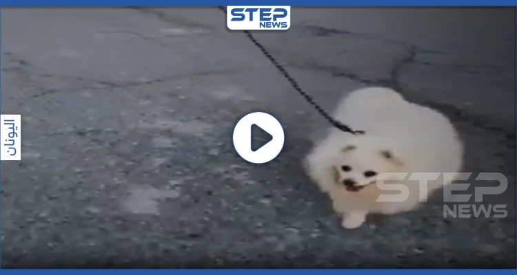 بالفيديو || وسط حظر التجول.. رجل يبتكر طريقة مميزة لتسيير كلبه خوفًا من كورونا