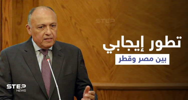 وزير الخارجية المصري يشير إلى "قضايا عالقة" مع تركيا وتطور هام مع قطر