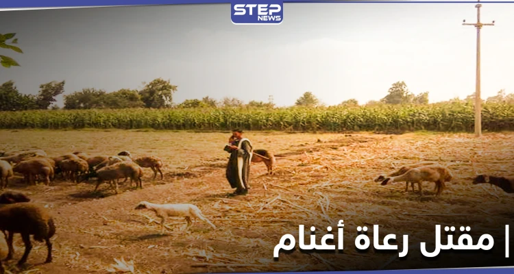 مقتل 7 رعاة أغنام في بادية البوكمال.. والميليشيات الإيرانية تراقب بصمت