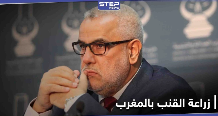 المغرب... بنكيران يعلّق عضويته في "العدالة والتنمية" احتجاجاً على إجازة القنب الهندي