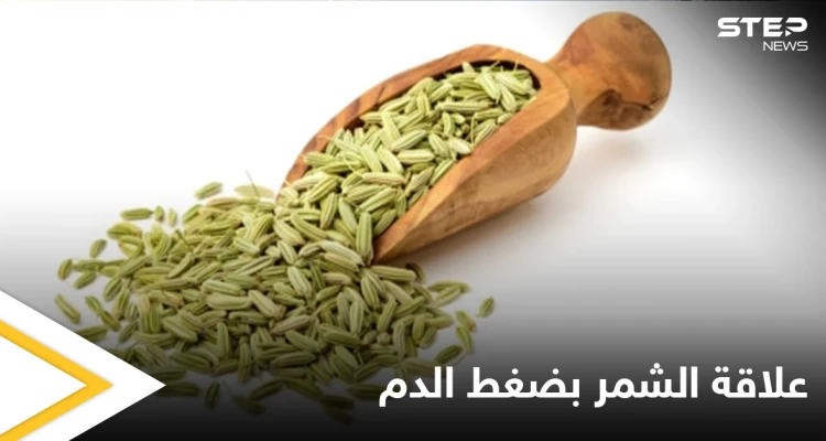 ما هو الشمر وكيف يساعدنا على التحكم بارتفاع وهبوط ضغط الدم تعرّف على التفاصيل