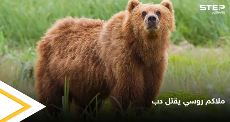ملاكم روسي شهير يطعن دب ضخم حتى الموت انتقاماً لموت صديقه