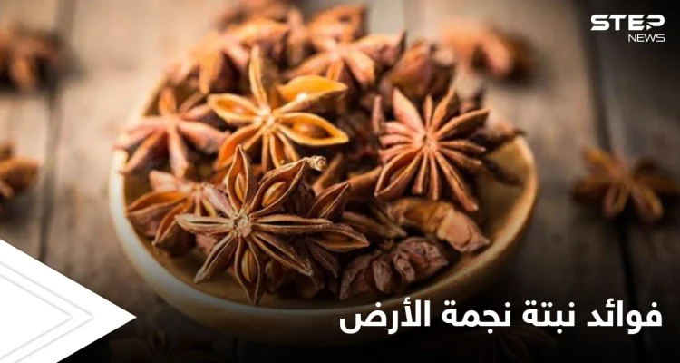 نجمة الأرض لعلاج الجهاز الهضمي وهشاشة العظام وفوائد أخرى تعرف عليها