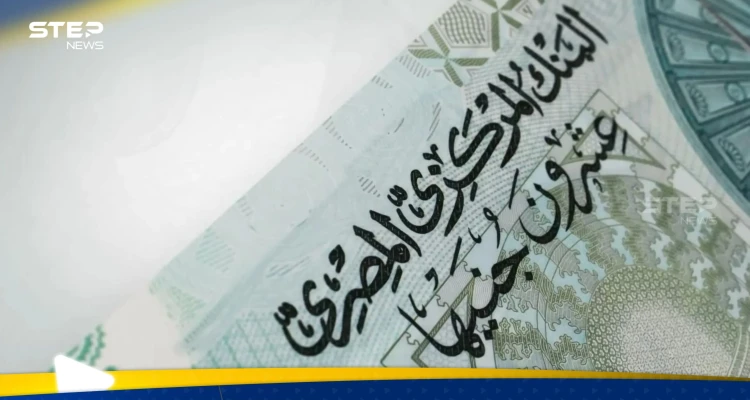 عملة وطنية جديدة لمواجهة السوق السوداء في مصر.. والقاهرة تتلقى مبلغاً ضخماً