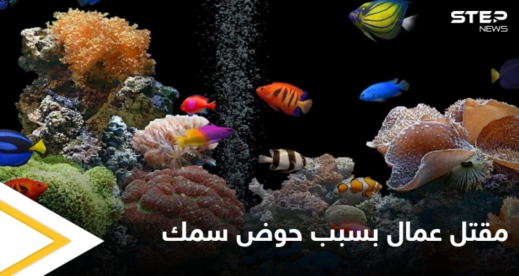 حوض أسماك الزينة يتسبب بمقتل عمال في الإمارات والسلطات تحقق في الحادثة