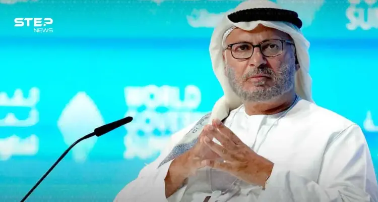 قرقاش: دول الخليج تدفع ثمن "طموح إيران المتضخم".. وهذا هو المطلوب: أخبار